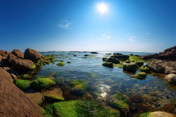 Obraz premium Vibrant Coastal Landscape with Rocky Shore and Lush Green Algae