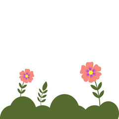 Nature Grass Decoration