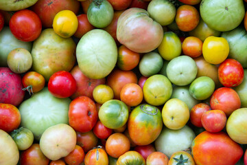 There are many different natural tomatoes. Colorful tomatoes
