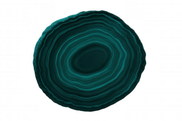 Polished teal agate slice displaying intricate concentric bands, highlighting natural mineral texture against transparent background for geological and design applications