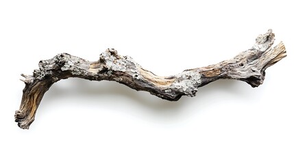 Fototapeta premium Weathered driftwood branch with lichen isolated on white background for crafts and decor