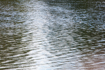 The water is calm and still