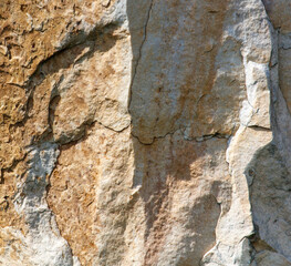 A rock with a brown and white surface