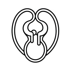 minimal-kidney-icon-in-line-art--clean-medical-ill.eps