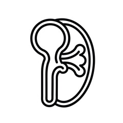minimal-kidney-icon-in-line-art--clean-medical-ill (1).eps