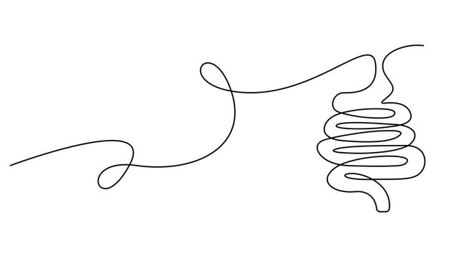 Intestines animation continuous one line drawing, Selfie drawing of human intestines by one line on a white background. Esophagus animation for health and nutrition whiteboard presentation. Full video