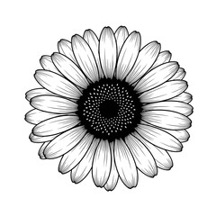 black and white flower