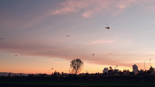 Kite flying at sunset in Carmen Alto, city of Arequipa.