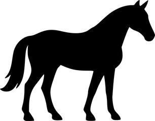 Horse Silhouette Vector | Equine Animal Outline | Wild Stallion Graphic Design