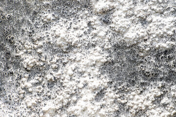 Rough cement wall with grunge texture, perfect for industrial, vintage, and raw design backgrounds.