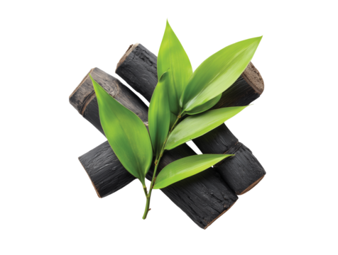 Bamboo charcoal with green leaves isolated on transparent background, Clipart png