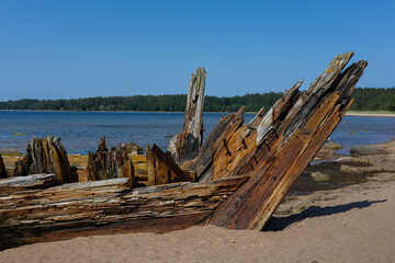 Close up photo of shipwreck of Raketa on the shore of Baltic Sea. Wooden wreck of the fork schooner...