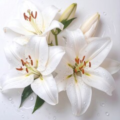 Trio of white lilies with orange anthers, accented by delicate water droplets, placed on a glossy surface. Soft, natural light enhances the flowers