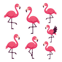 Fototapeta premium Vibrant flat 2D flamingo mascot vector illustrations form an adorable animal logo set, featuring smooth lines, bright pink feathers, and isolated on a clean white background.