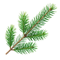 Naklejka premium Green Christmas pine twig isolated on white or transparent background png evergreen branch png holiday decoration png festive greenery png seasonal ornament png winter celebration png transparent