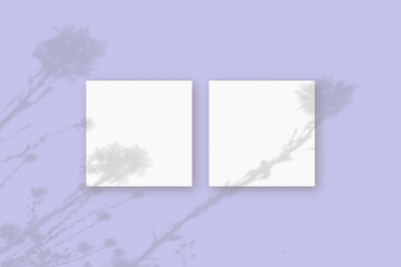 Natural light casts shadows from wildflowers on 2 square sheets of white paper lying on a violet background. Mockup