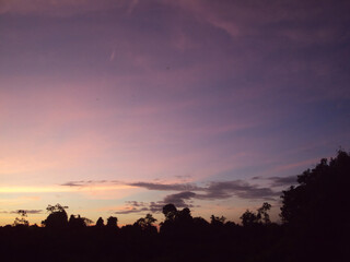 A beautiful twilight sky with shades of purple and pink over a dark forest silhouette.