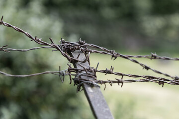 close up on a barbed wire on a fence