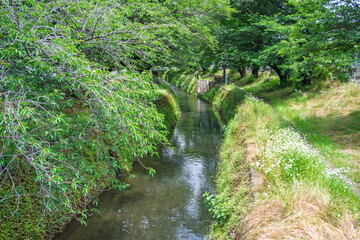 引地川河川敷の遊歩道