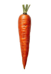 Single, vibrant orange carrot, vertical, isolated