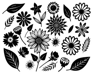 Fototapeta premium Black and White Floral and Leaf Illustrations flower