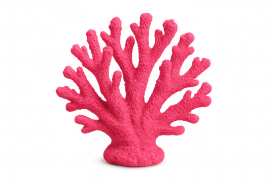 Vibrant pink coral ornament isolated on a transparent background, adding a touch of marine life to any design