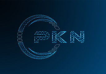 PKN low poly letter logo vector design. PKN lower poly logo design. Low poly logo.