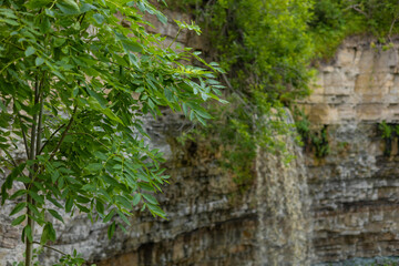 Valaste Waterfall, the highest in Estonia, cascading over limestone cliffs in Ida-Viru County. Lush green foliage frames the rugged rock wall, showcasing iconic Baltic sightseeing and natural beauty.