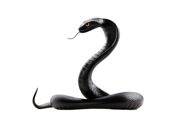 Fototapeta premium Intimidating black mamba snake poised to strike, conveying danger and power with its striking yellow eyes
