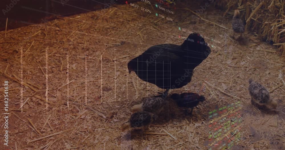 Poster animation of data processing over hen in henhouse
