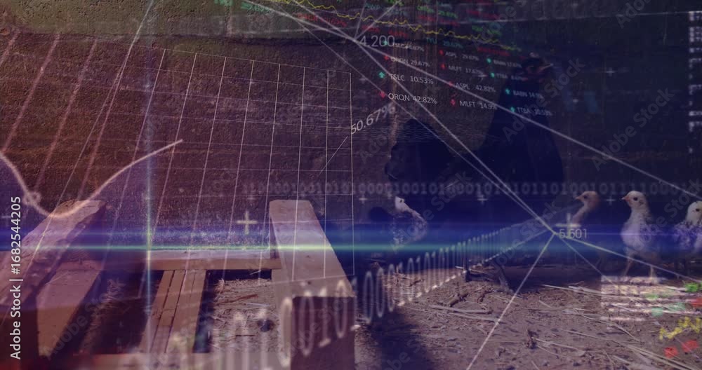Poster animation of data processing over hen in henhouse
