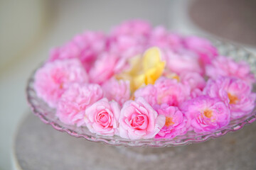 Small pink rose on a beautiful glass plate.