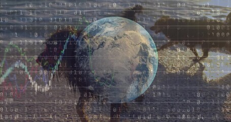 Animation of data processing and globe over dogs at beach - Powered by Adobe