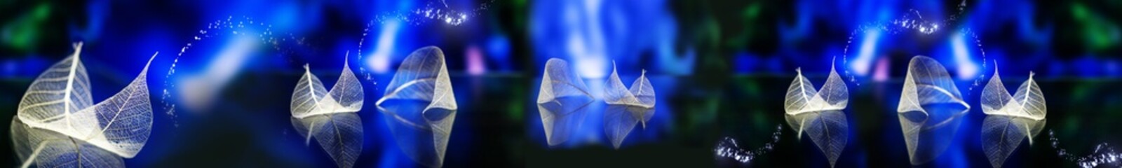 Transparent delicate leaves reflected on a glossy surface with glowing blue and purple light bokeh...