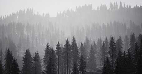 Majestic pine trees rise in layers through a thick mist, creating a serene and captivating atmosphere. The soft gray light bathes the landscape, evoking tranquility and mystery.