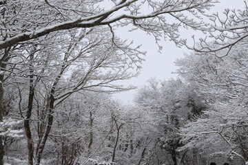 jeju hallasan winter