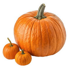 Organic sugar pie pumpkin an ideal pumpkin for holiday baking and cooking transparent background image