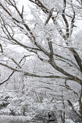 jeju hallasan winter