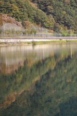 The mountain forest is reflected in the clear blue lake