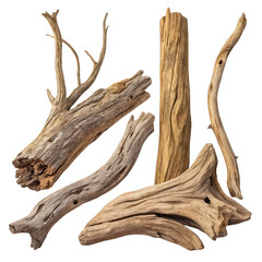 Pieces of driftwood isolated on transparent background png natural wood fragments png ocean debris png rustic texture png decorative wood pieces png beach driftwood png transparent texture png