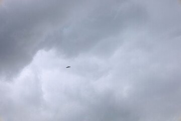 A moody shot featuring a lone bird soaring high under a sky filled with heavy, gray storm clouds. The image conveys a sense of space, solitude, and calm.