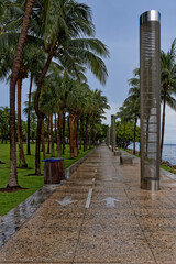 Fototapeta premium Palm-lined promenade with modern lamps after rain by the sea