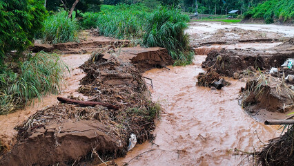 Muddy Flash Flood Stream with Debris in Forest