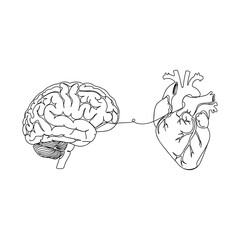 Connected Brain Heart Mind Body Line Art