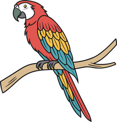 Fototapeta premium blue and yellow macaw ara ararauna