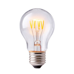Vintage Style Light Bulb with Warm Glow Illuminating a Clear Glass Housing and Classic Design Elements