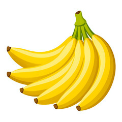 bunch of bananas ,vector illustration white background