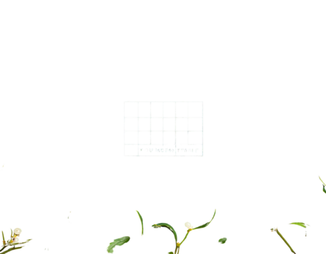 Firefly_Real, live decorated Christmas tree with wrapped gifts presents in beautiful, snowy n - Firefly_Dark Green christmas background with mistletoes frame, copy space