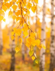 黄色く色づいた白樺の枝をクローズアップで撮影した写真です。
背景は柔らかくぼけた秋の森で、季節の温かみと落ち着いた雰囲気を演出。
自然光が葉と枝を優しく照らし、秋らしい自然美を引き立てます。