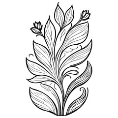 Botanical drawing shows delicate blooming plant, with intricate details, making it an artful